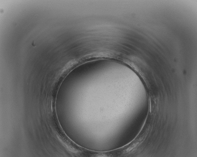 X0000063490253200601271727