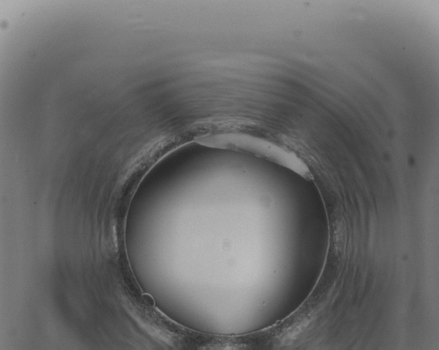 X0000063490254200601271727