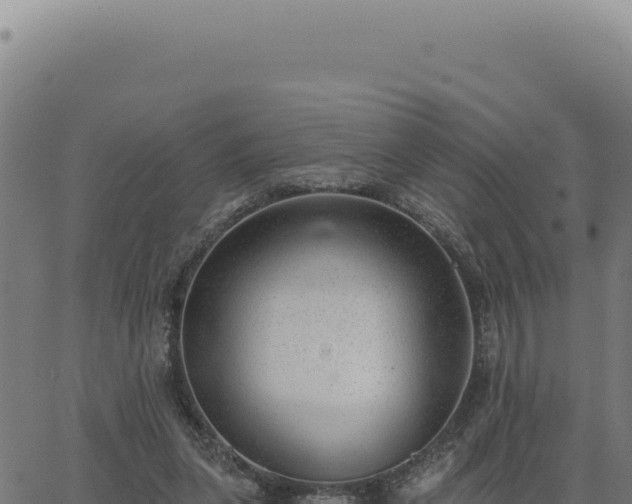 X0000063490255200601271727