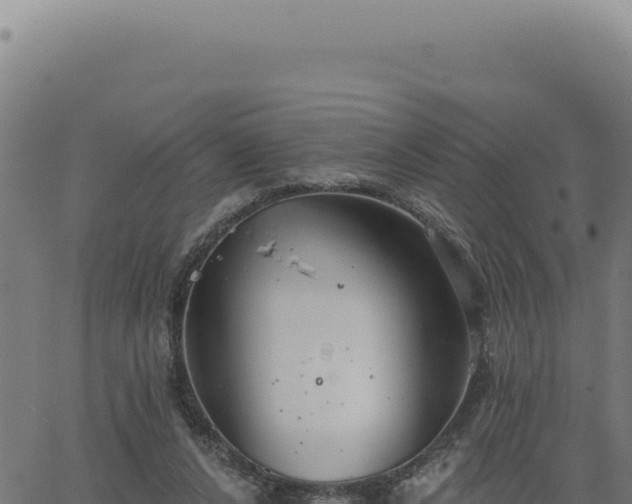 X0000063490256200601271727