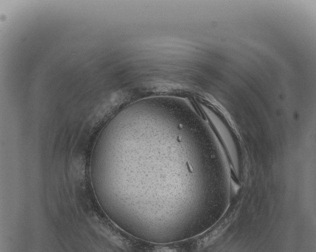 X0000063490257200601271727