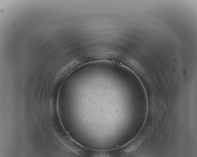 X0000063490258200601271727