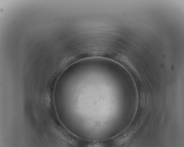 X0000063490259200601271727