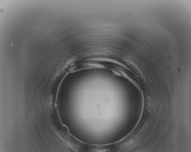 X0000063490260200601271727