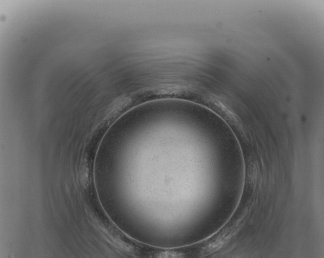 X0000063490261200601271727