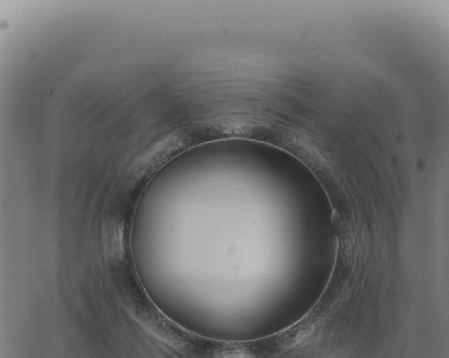 X0000063490262200601271727