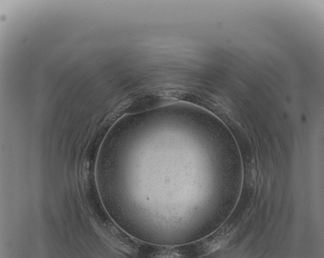 X0000063490263200601271727