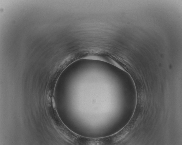 X0000063490264200601271727