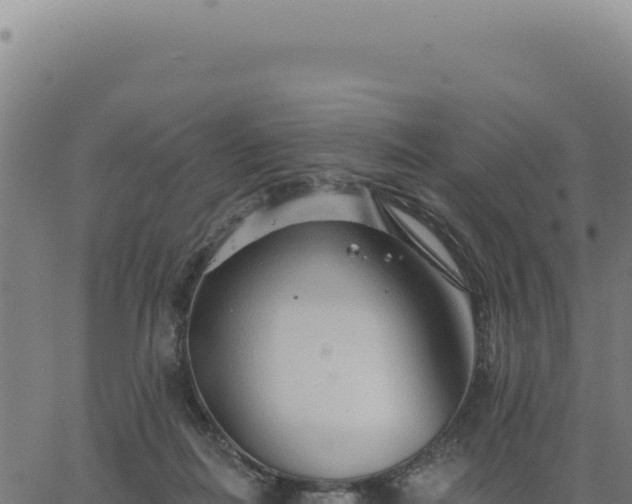 X0000063490266200601271727