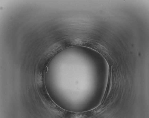 X0000063490267200601271727