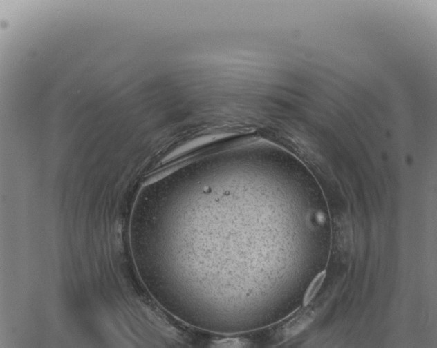 X0000063490269200601271727