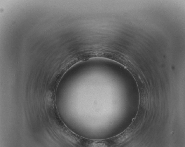 X0000063490270200601271727