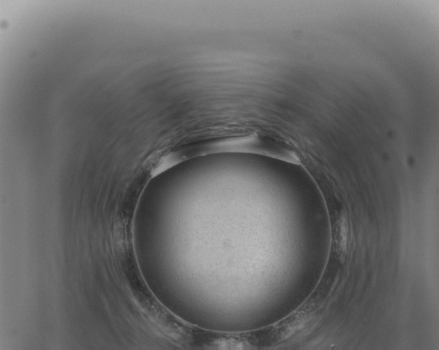 X0000063490272200601271727