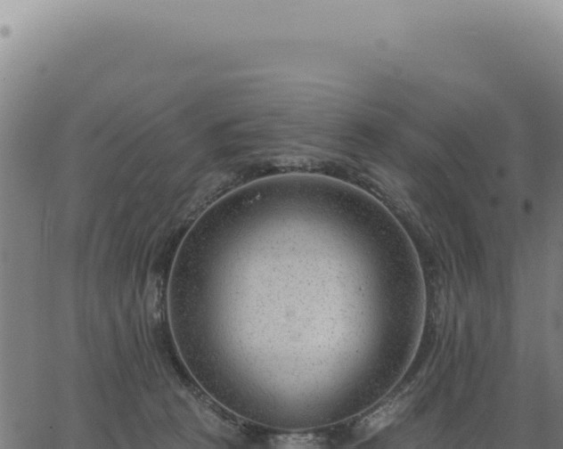 X0000063490273200601271727