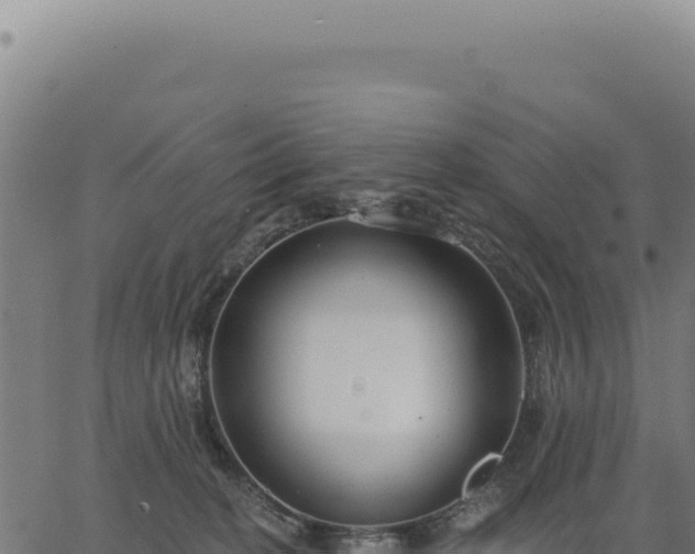 X0000063490274200601271727