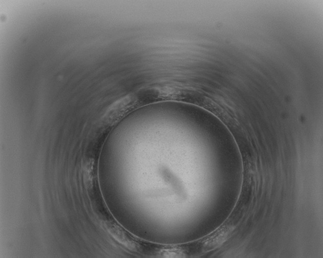 X0000063490275200601271727