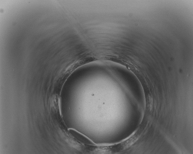 X0000063490280200601271727