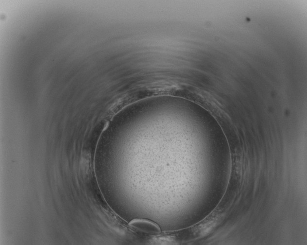 X0000063490283200601271728