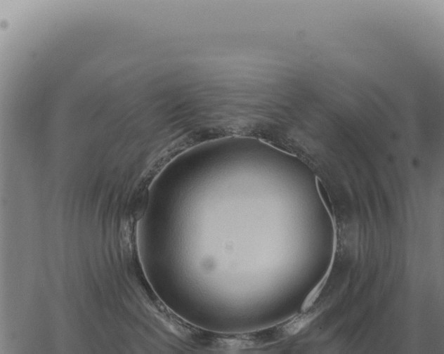 X0000063490286200601271728