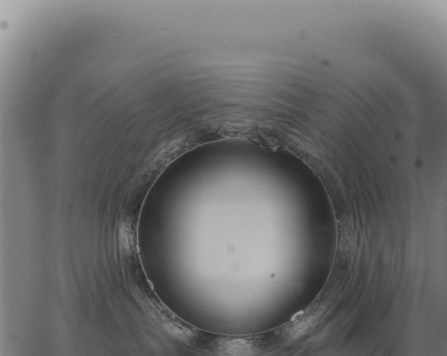 X0000063490287200601271728