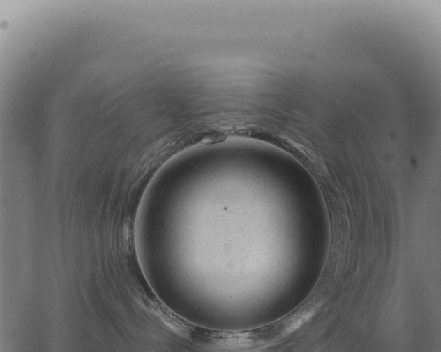 X0000063490288200601271728