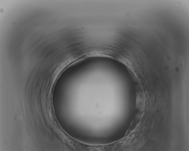 X0000063490289200601271727