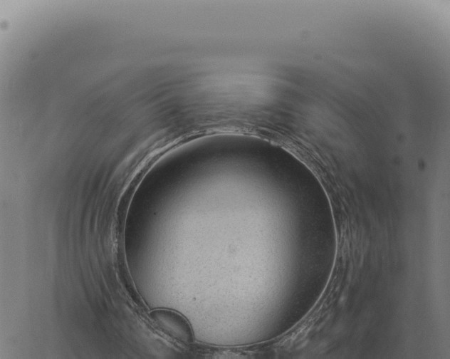 X0000063490290200601271727