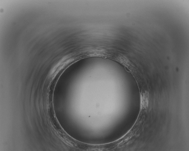 X0000063490291200601271727