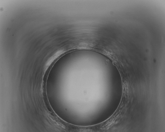 X0000063490292200601271727