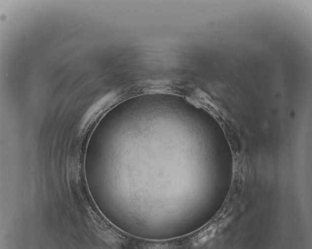 X0000063490293200601271727