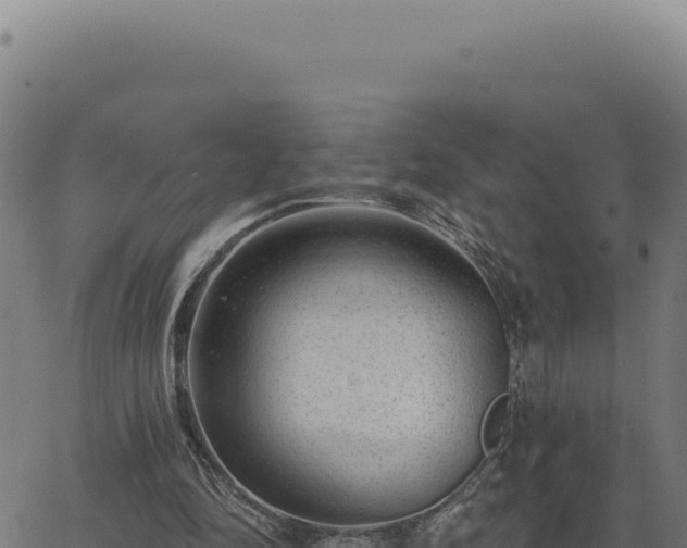 X0000063490294200601271727