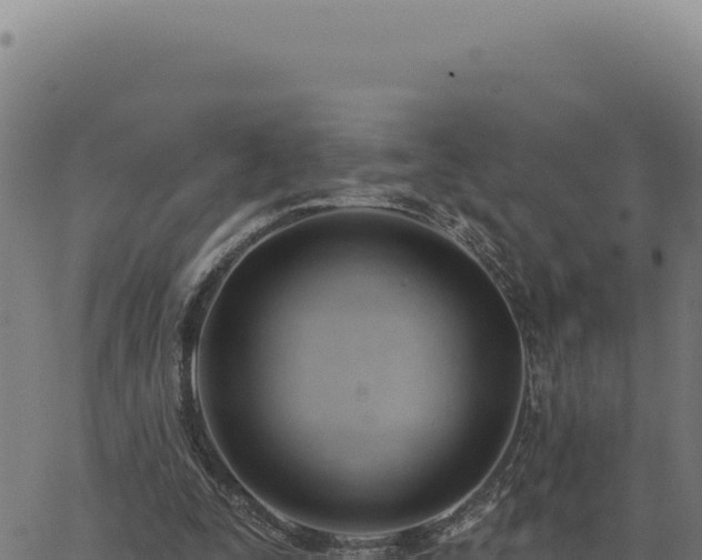 X0000063490295200601271727