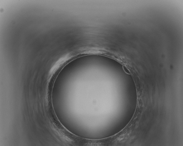 X0000063490296200601271727