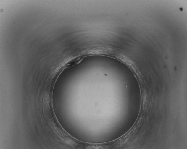 X0000063490297200601271727