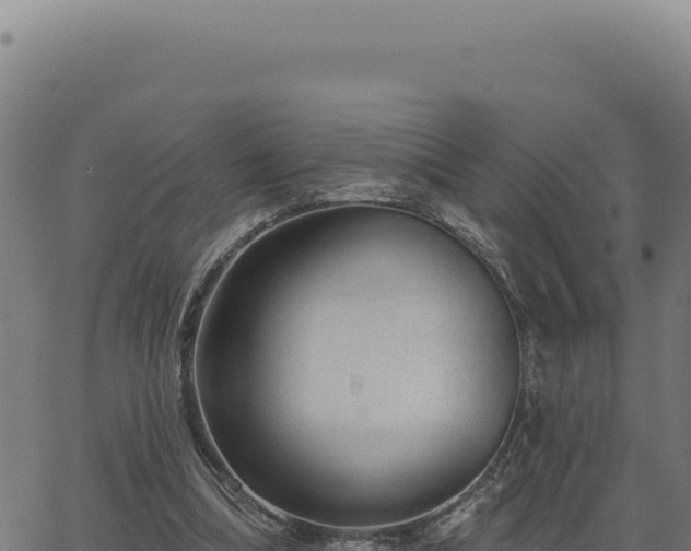 X0000063490298200601271727