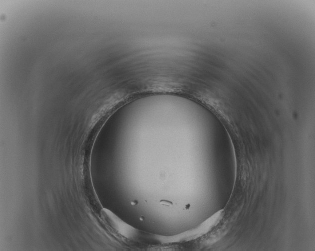 X0000063490299200601271727