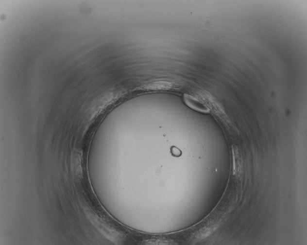 X0000063490300200601271727