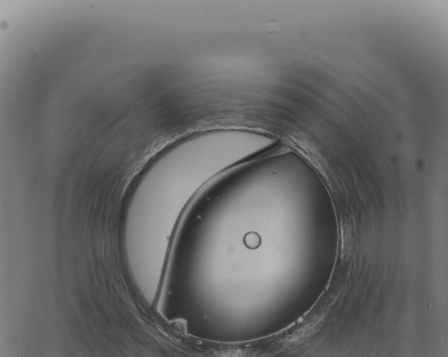 X0000063490301200601271727