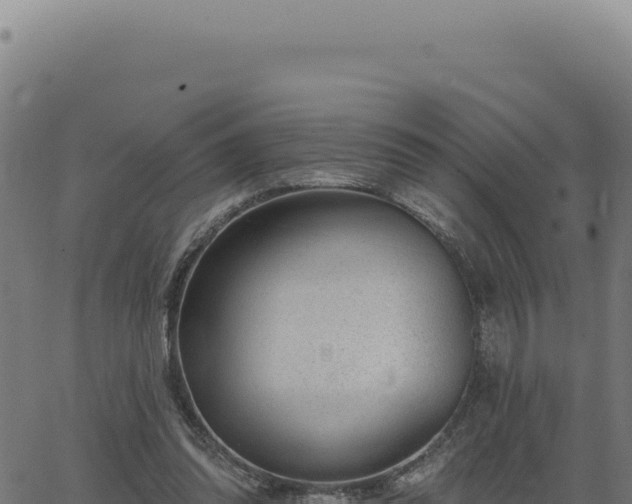 X0000063490302200601271727