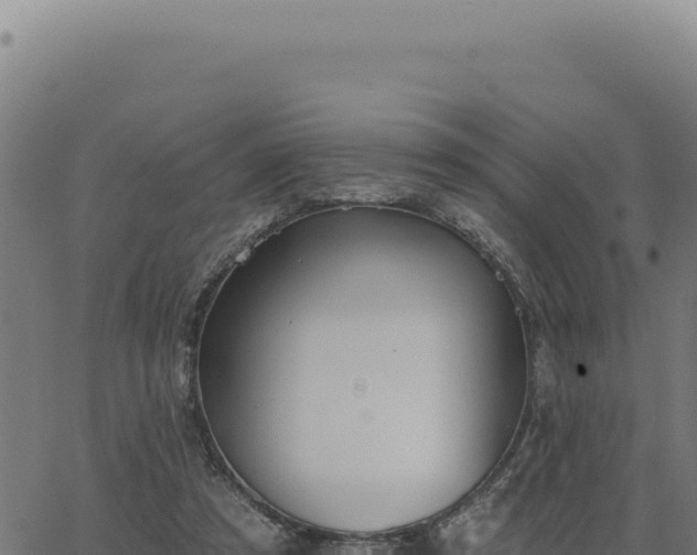 X0000063490305200601271727