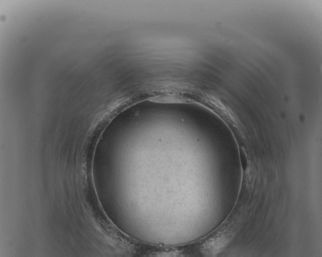 X0000063490306200601271727