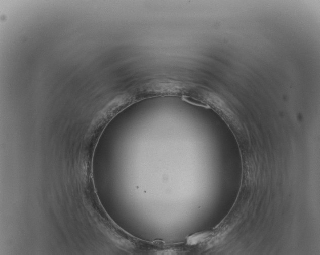 X0000063490309200601271726