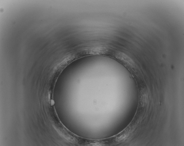 X0000063490310200601271726