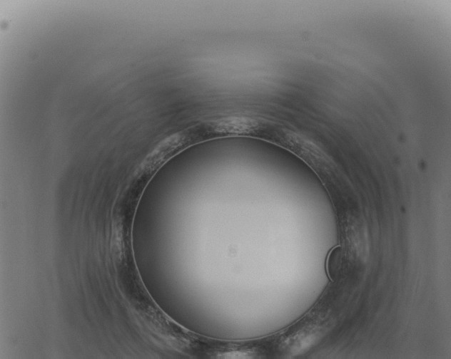 X0000063490312200601271726