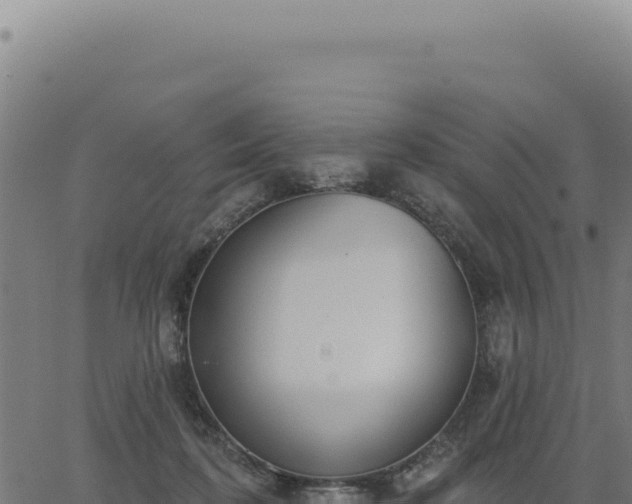 X0000063490316200601271726