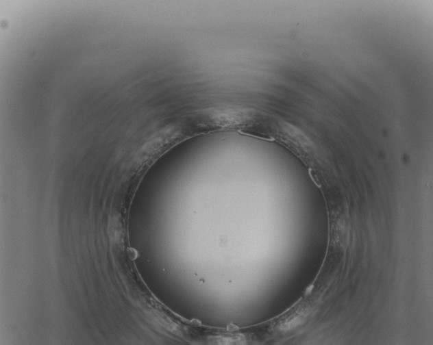 X0000063490317200601271726