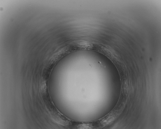 X0000063490320200601271726