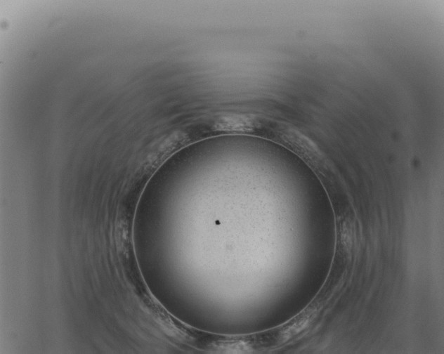 X0000063490322200601271726