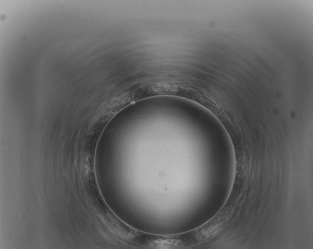 X0000063490323200601271726