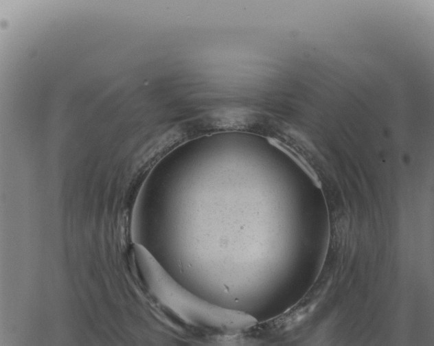 X0000063490325200601271726